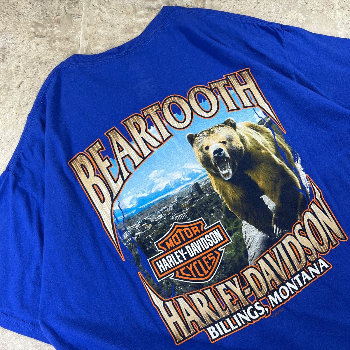 ハーレーダビッドソン BEAR TOOTH Tシャツ 両面 アニマル 熊 希少色