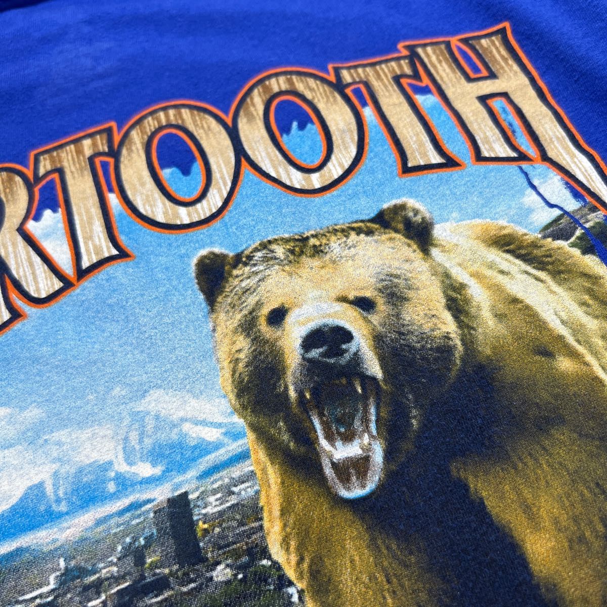 ハーレーダビッドソン BEAR TOOTH Tシャツ 両面 アニマル 熊 希少色