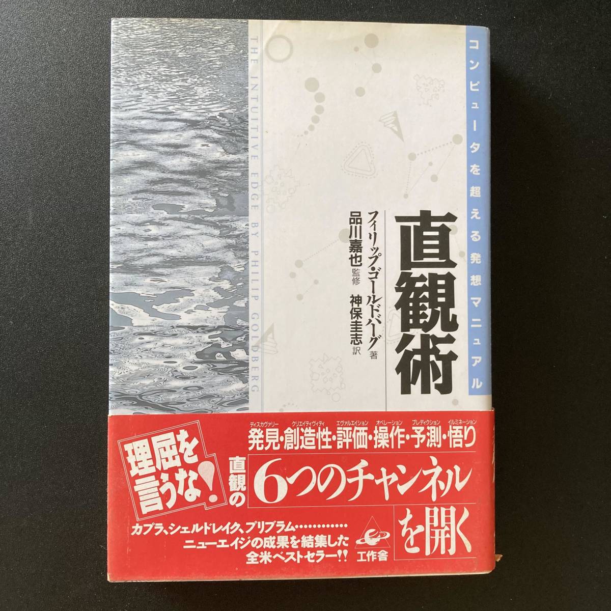 直観術 : コンピュータを超える発想マニュアル / フィリップ ゴールドバーグ (著), 神保 圭志 (訳)