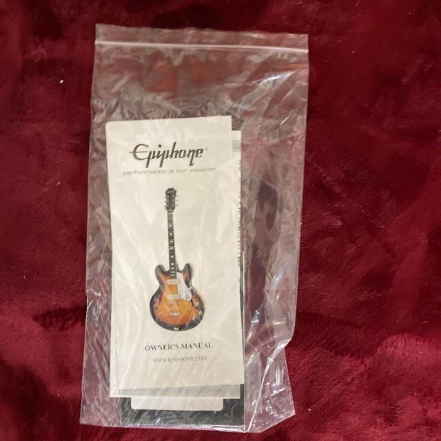 EPIPHONE Les Paul 100 弦交換不要 - 通販 - gofukuyasan.com