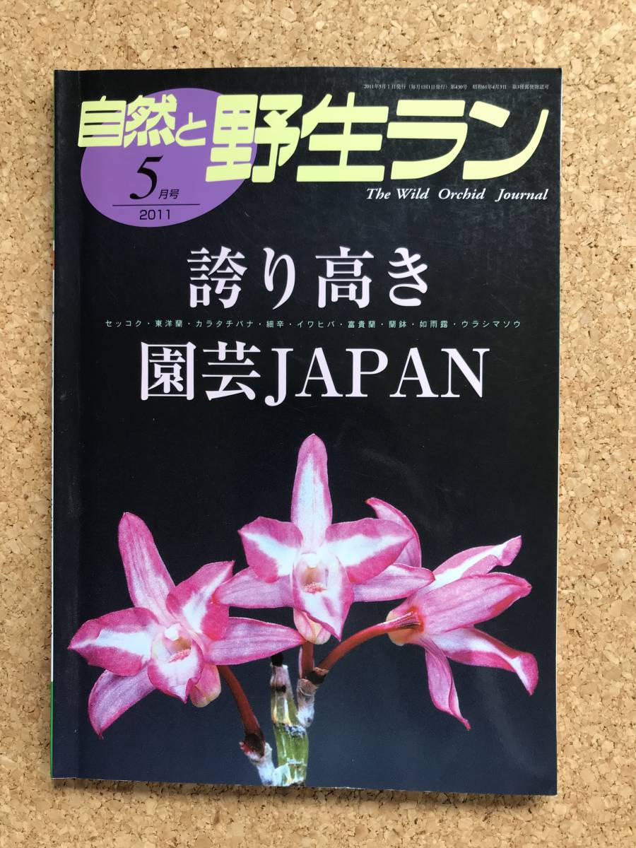  природа .. сырой Ran 2011 год 5 месяц номер Dendrobium moniliforme маленький . креветка nekalatachibana* садоводство JAPAN