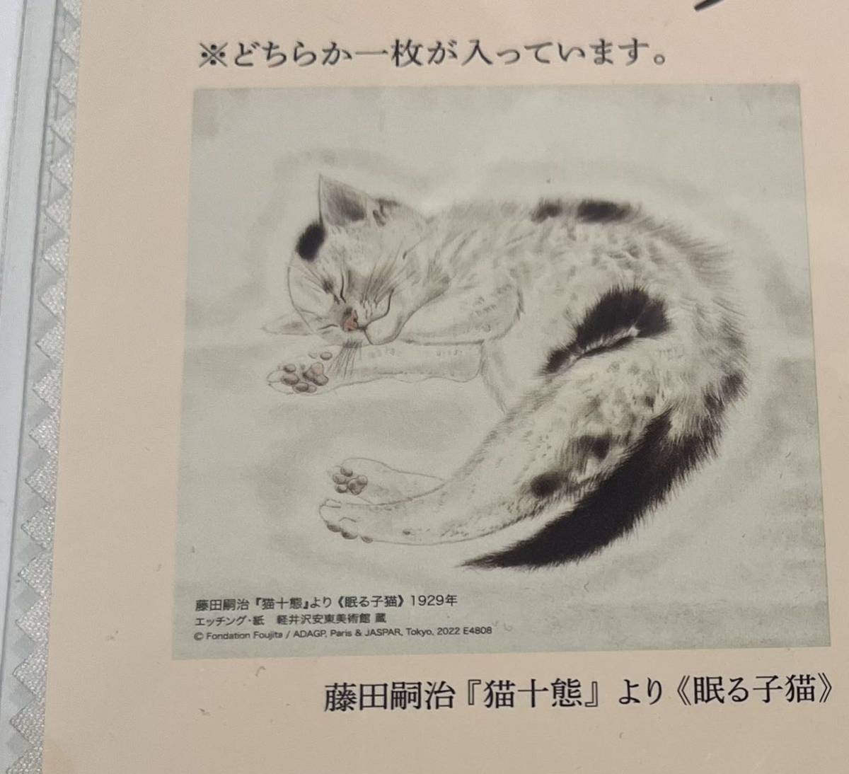 藤田嗣治　眠る子猫　猫のマルチクロス　家庭画報付録_画像1