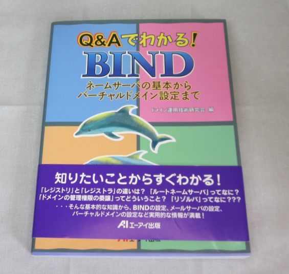 [ beautiful goods ]Q&A. understand!BIND- name server. basis from virtual domain setting till domain exploitation technology research .[ compilation ]