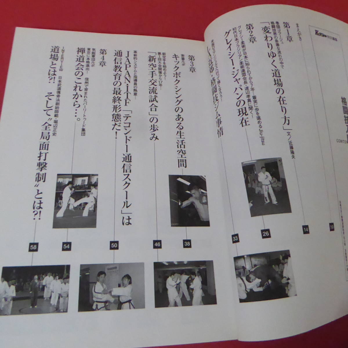 S1-230530☆格闘技入門ガイドブック　2000-2001　　_画像7