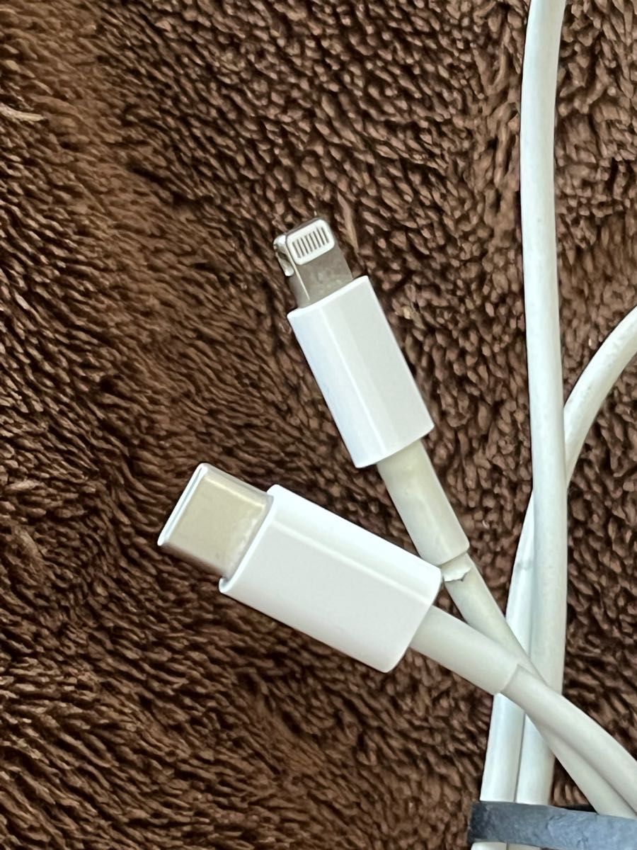 【根元部分に破れアリ】Apple純正 Lightning USB-Cケーブル 1m