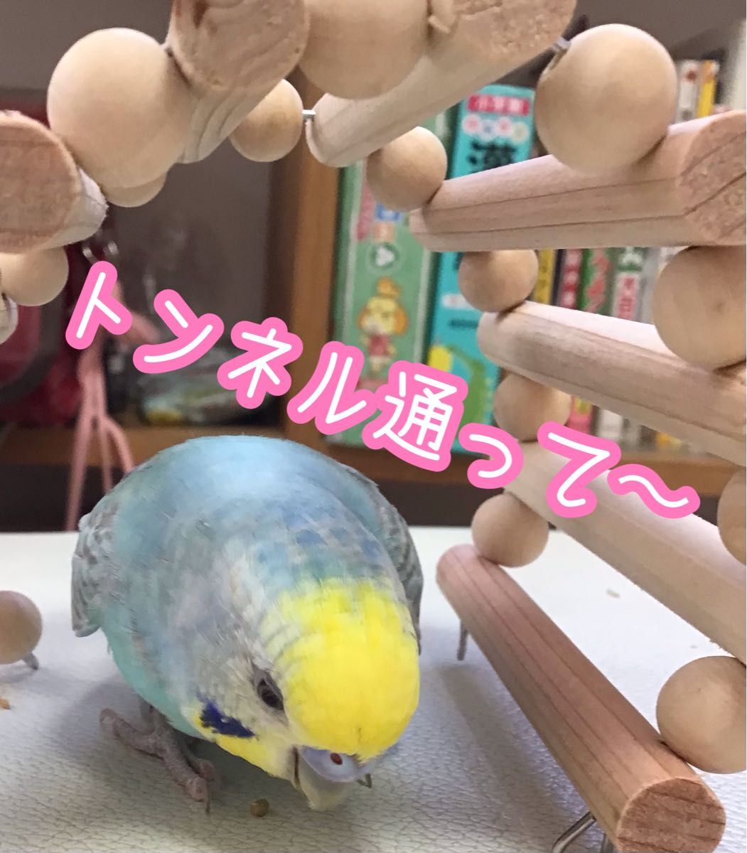 ひのきのはしご★インコや文鳥の小鳥のハンドメイドおもちゃ　バードトイ　止まり木　アスレチック