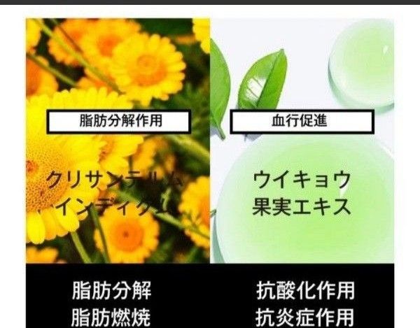 新品 セルライティ2個セット | noonanwaste.com