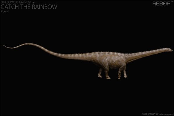 REBOR 1/35 サイズ ディプロドクス フィギュア 82.5cm級 ラモデル 大きい 恐竜 リアル 大人のおもちゃ 模型 プレゼント 塗装済 完成品 メスの画像4