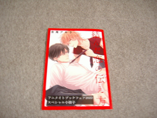 BL*. tail Akira [..... inform person ]* anime ito book fea2022 not for sale small booklet 