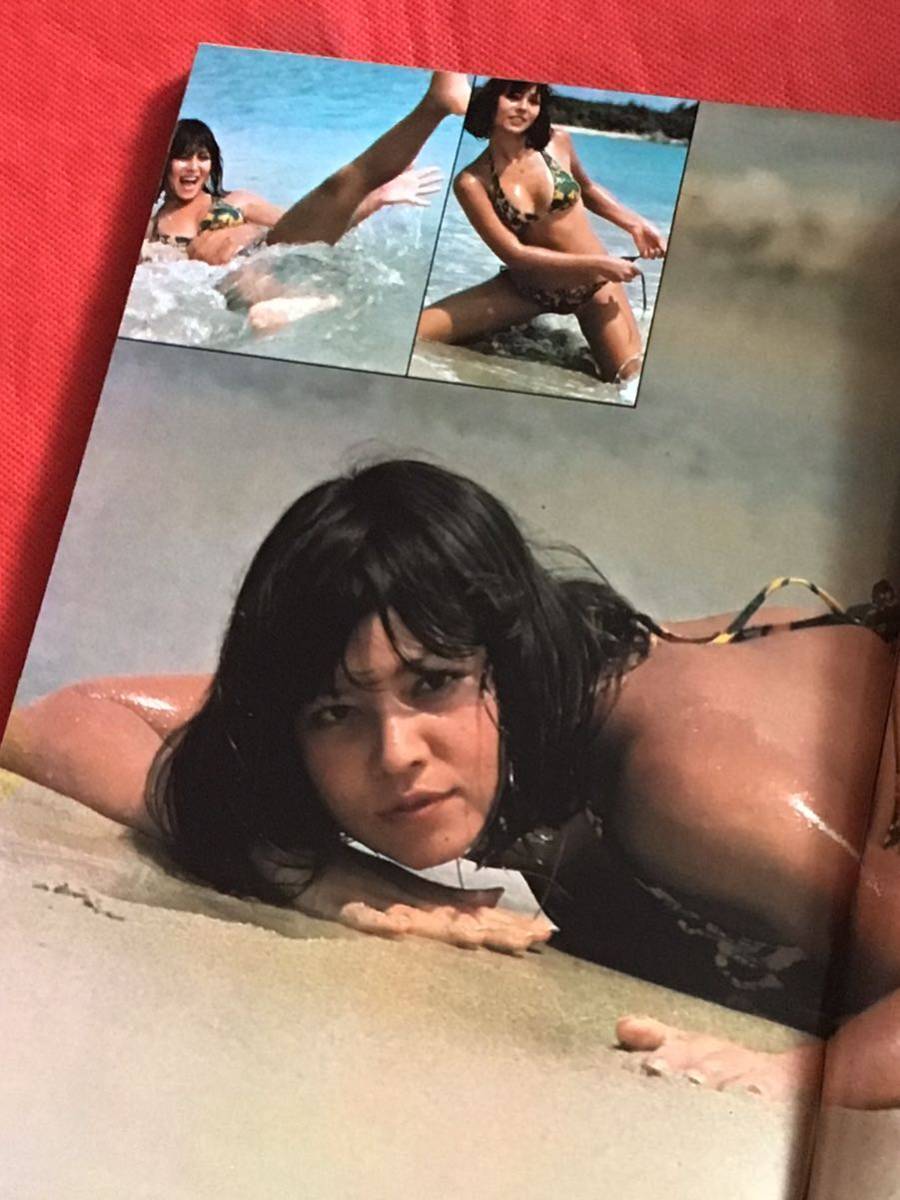 Yahoo!オークション - 週刊 平凡パンチ1977年7月 4日(no.667 Yahoo!オークション - 週刊 平凡パンチ1977年7月 4日(no.667