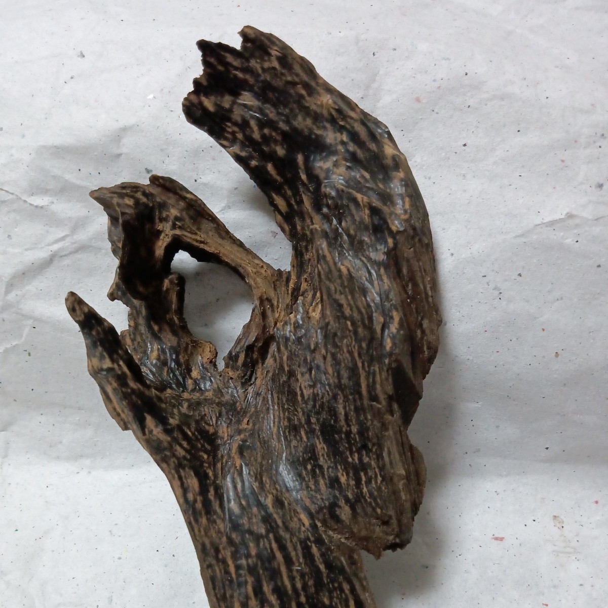 沈水】沈香香木50.62g(伽羅沈香白檀)お香 聞香 香道具 茶道具 古美術