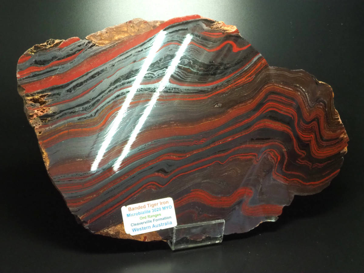 . shape iron . layer [790g][ -stroke romato light ] Australia production /Banded Iron/. can yellowtail a fee /. shape iron ./siano bacteria / fossil / raw ore / mineral 