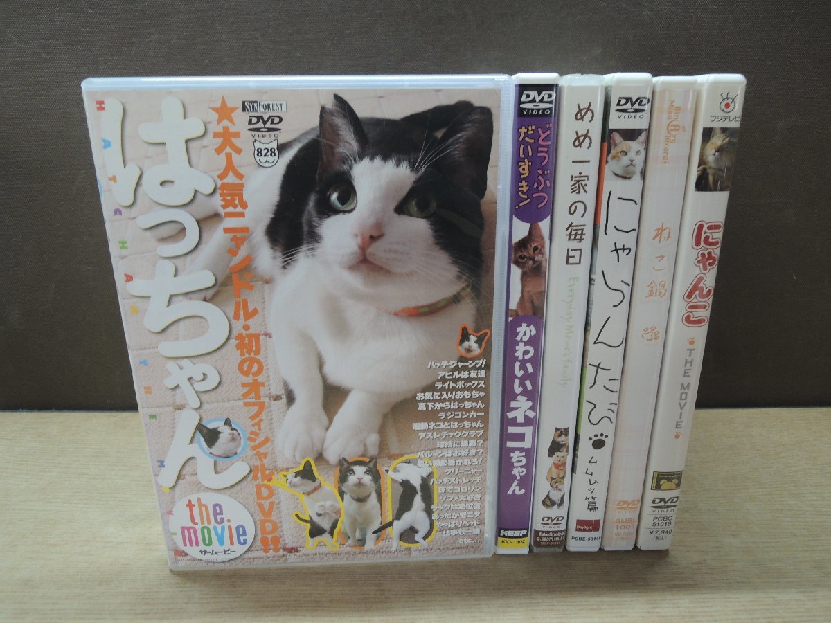 【DVD】《6点セット》猫 DVDセットの画像1