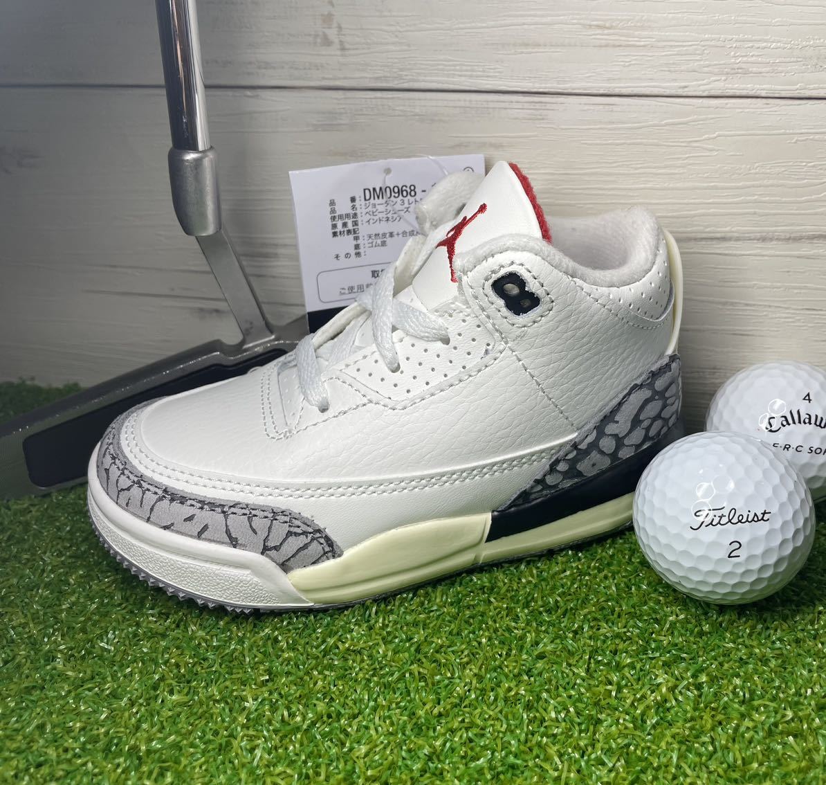 超特価 新品 超激レア スニーカー型パターカバー NIKE JORDAN 3 Retro