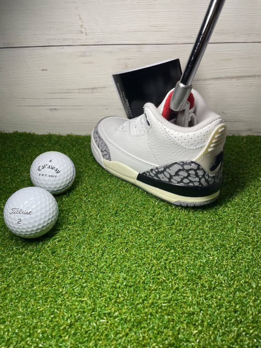 超特価 新品 超激レア スニーカー型パターカバー NIKE JORDAN 3 Retro