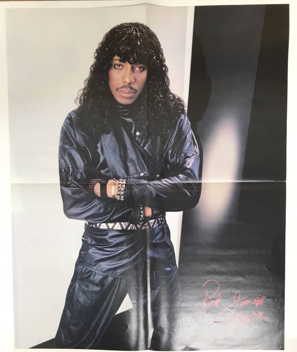 d4340/LP/米/ポスター付/Rick James/Reflections_画像4