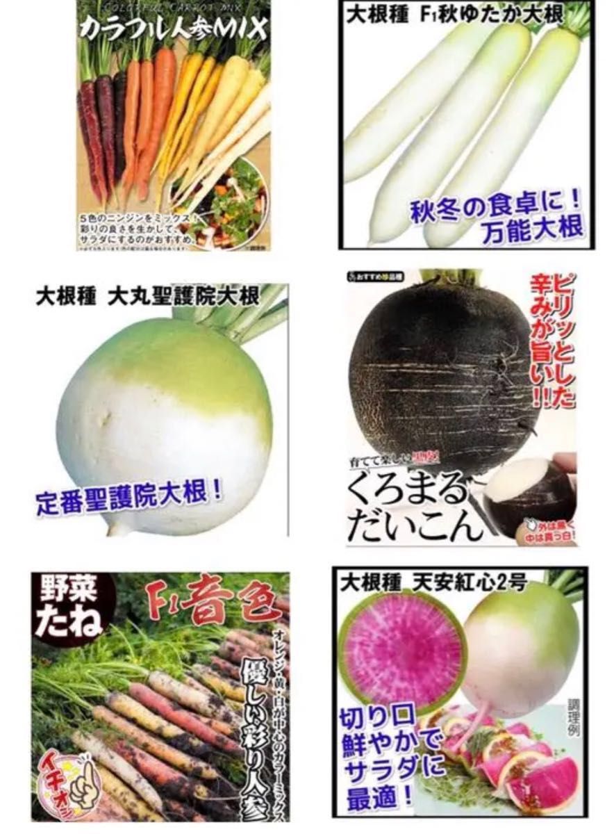 野菜の種子セットⅠ 6種類+1点オマケ