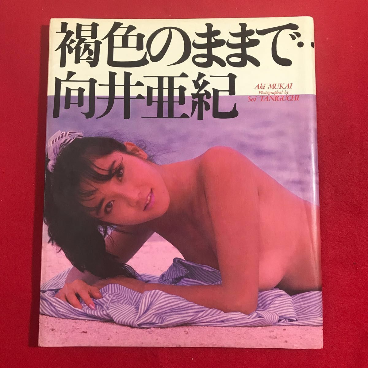 向井亜紀写真集　日本女子大学出身　高学歴タレント　1988年　初版本　