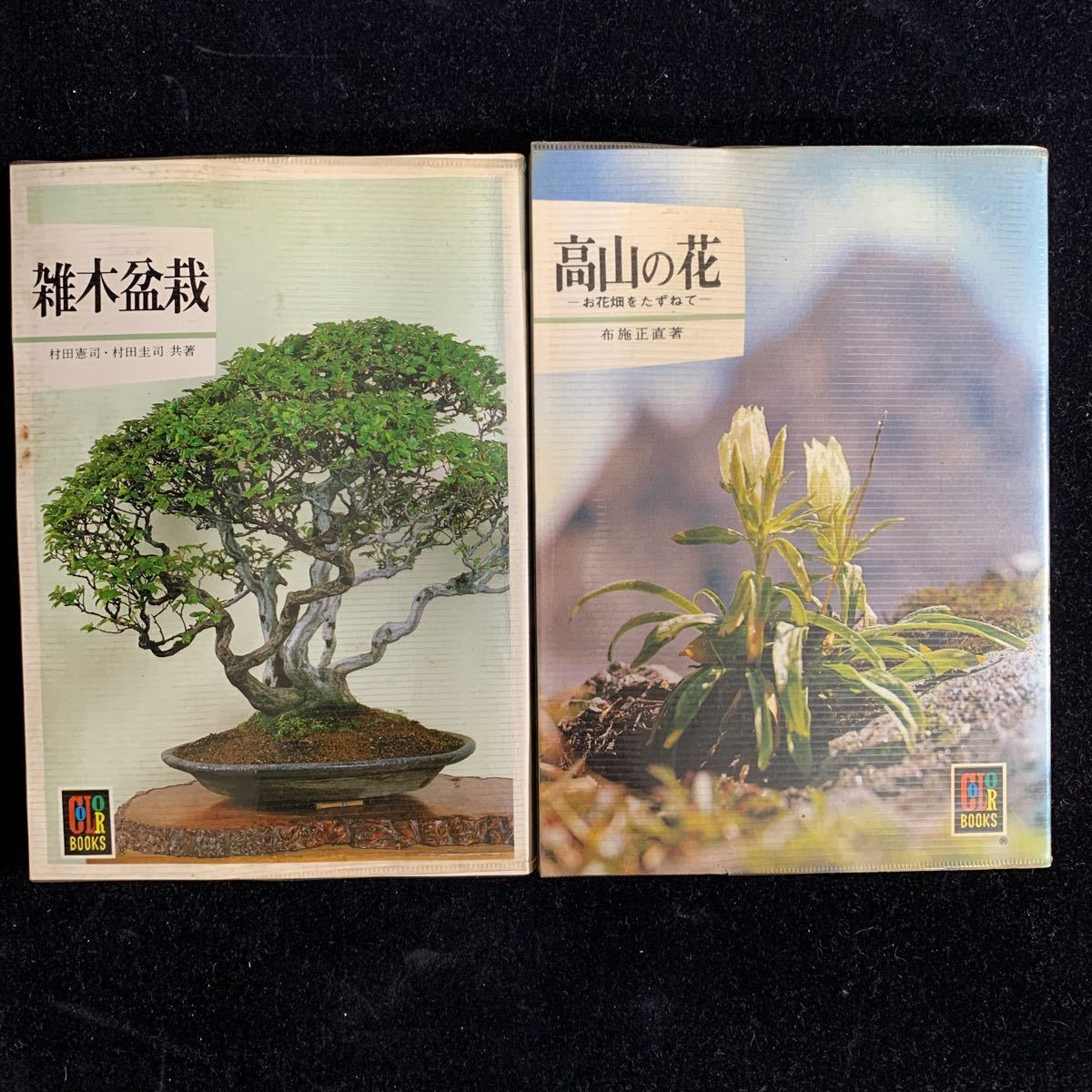 9 pcs. secondhand book cactus gardening legume flower thing . tree shohin bonsai height mountain. flower Alpine plants suiseki st color books Hoikusha 