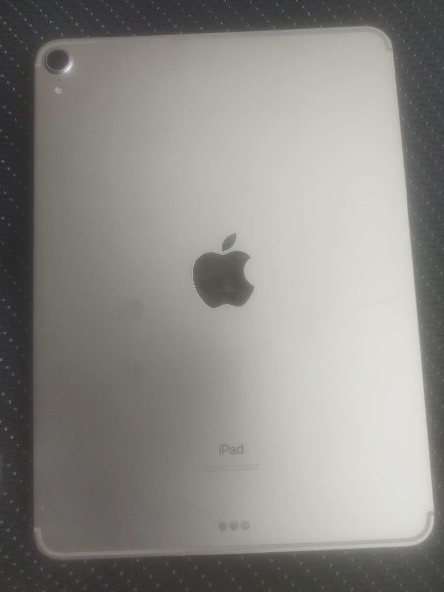 iPad Pro11インチ一世代 Cellularモデル 64G | normanhubbard.com