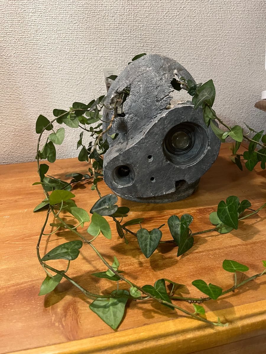 ジブリ 天空の城ラピュタ ロボット兵 プランター 観葉植物付き ジブリ 天空の城ラピュタ ロボット兵 プランター 観葉植物付き