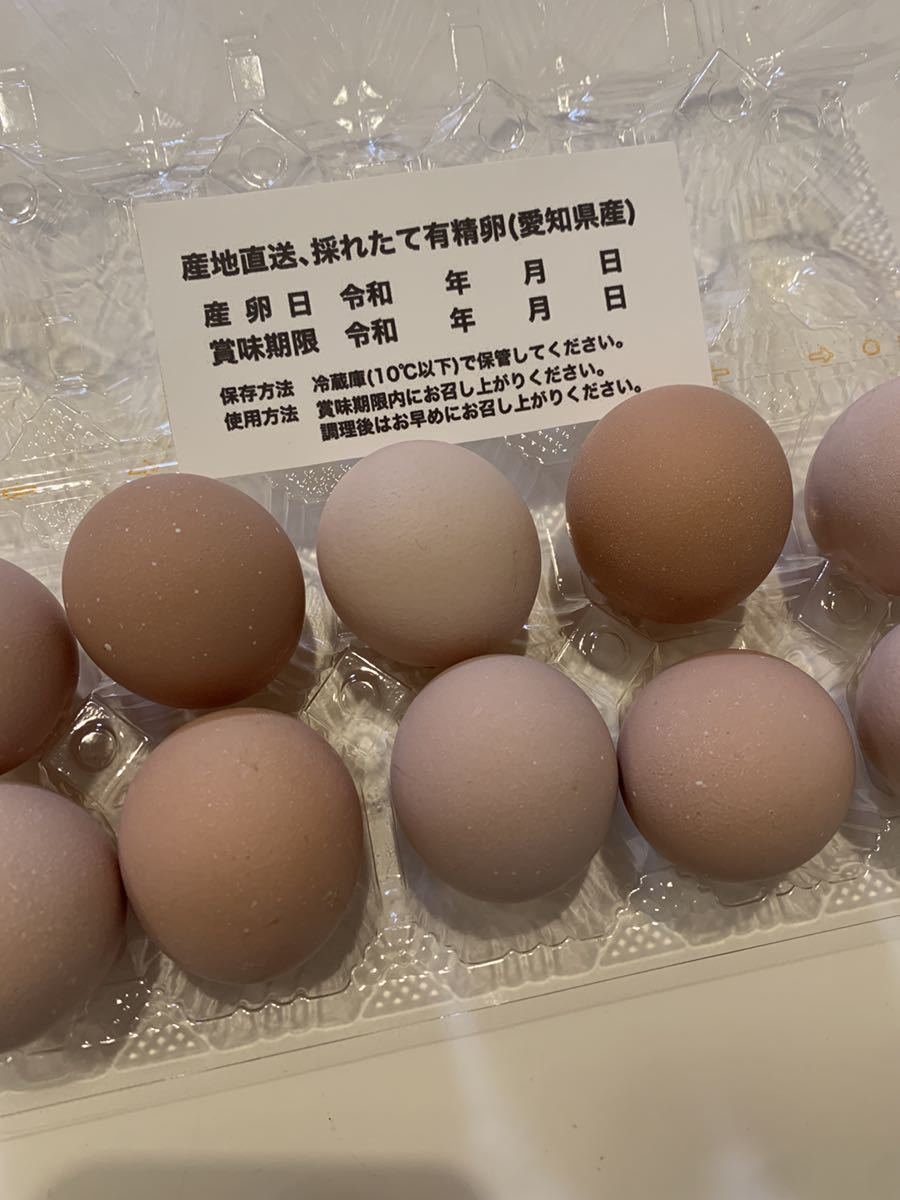 名古屋コーチン 鶏 有精卵8個 名古屋コーチン 鶏 有精卵8個