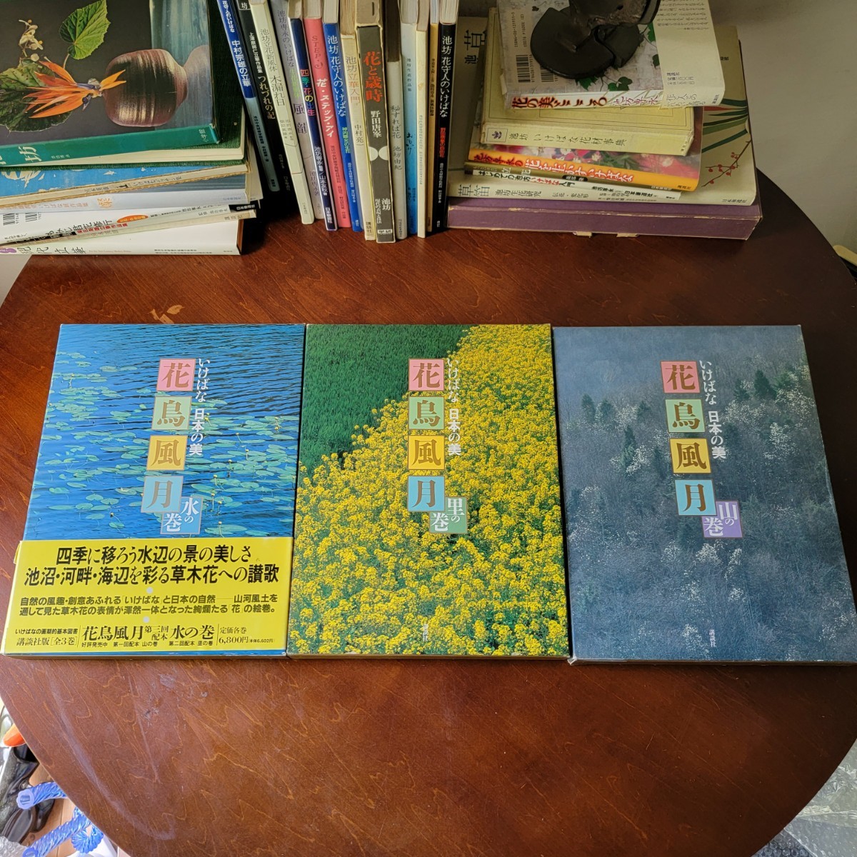 いけばな 日本の美 花鳥風月 3冊セット 定価6,800 講談社 花器 花瓶
