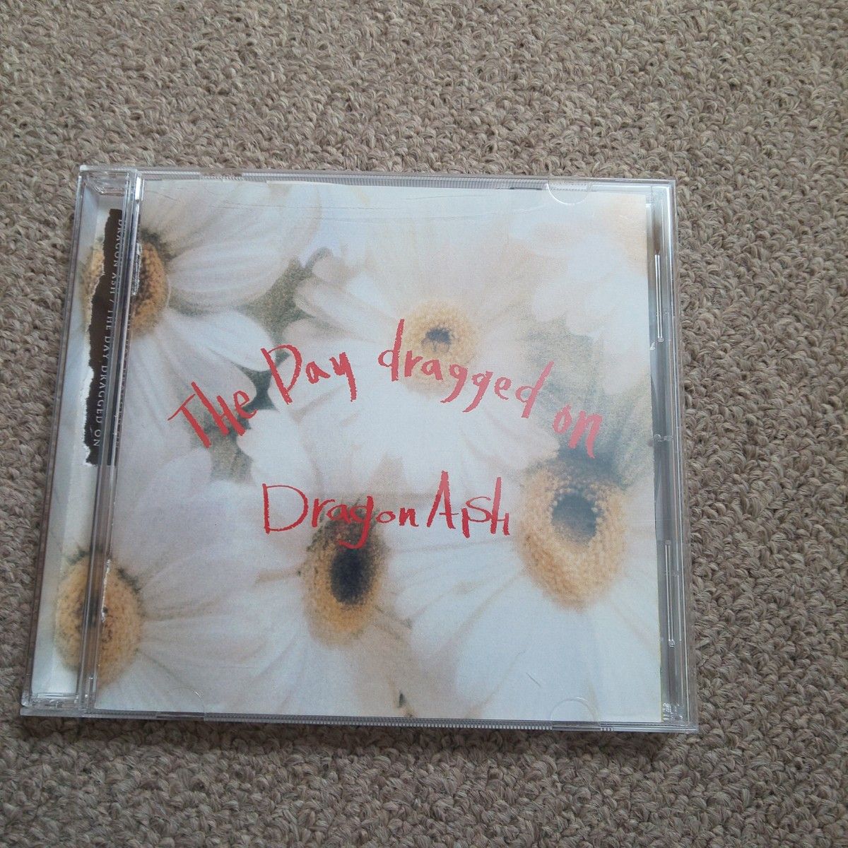 (CD)THE DAY DRAGGED ON/Dragon Ash