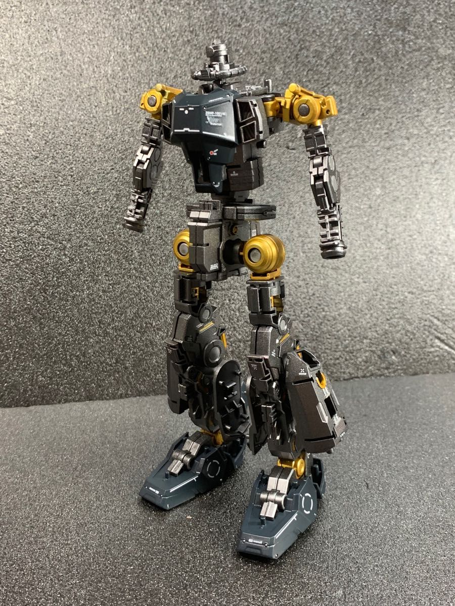 ガンプラ MG ブレイズザクファントム レイ・ザ・バレル専用 塗装 ガンプラ MG ブレイズザクファントム レイ・ザ・バレル専用 塗装