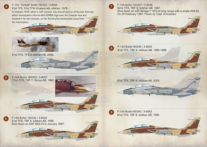 プリントスケール 72-211 1/72 F-14 トムキャット イラン空軍_画像2