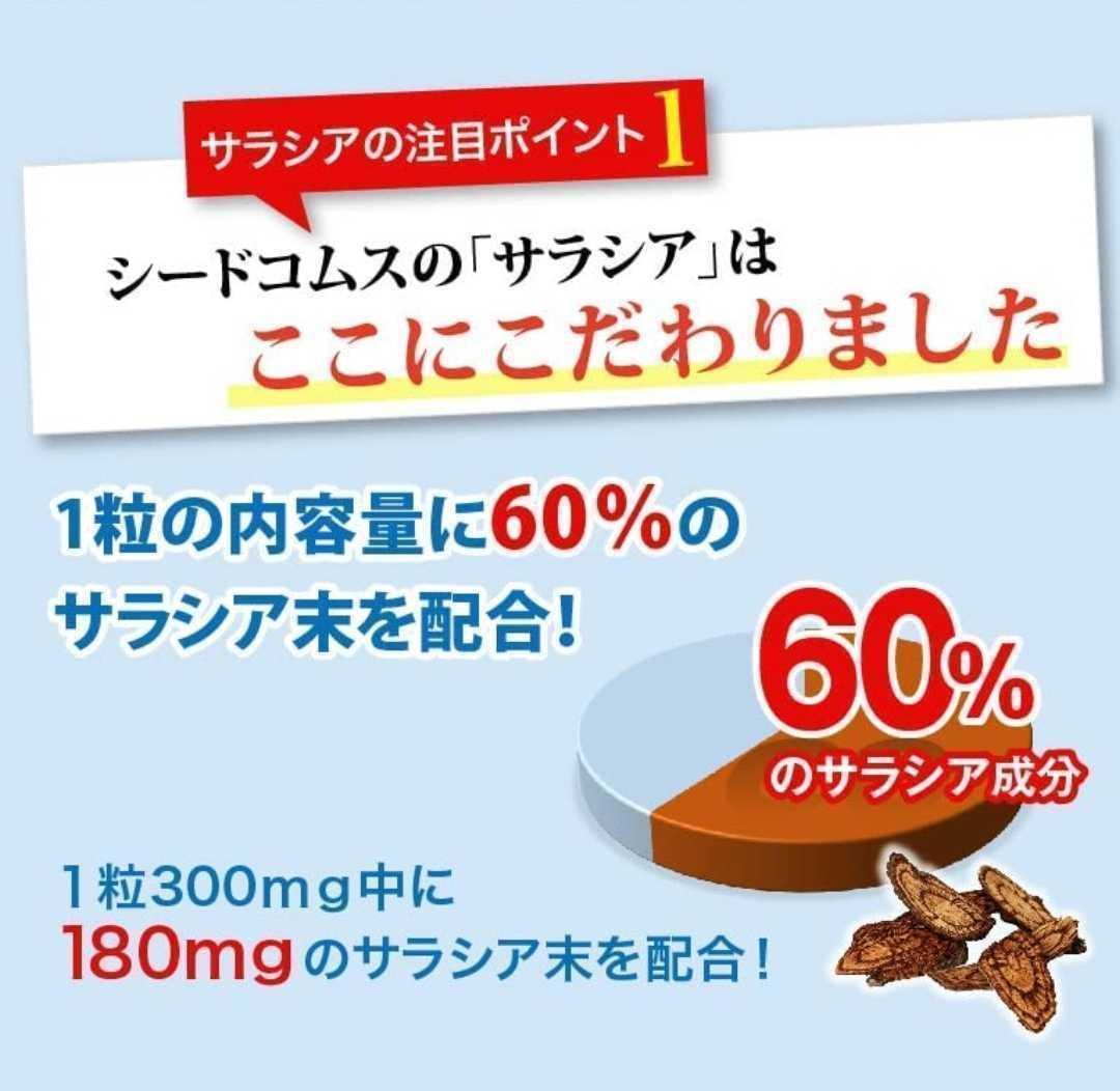 小物などお買い得な福袋 激安 サラシア 3ヵ月分 シードコムス zlote