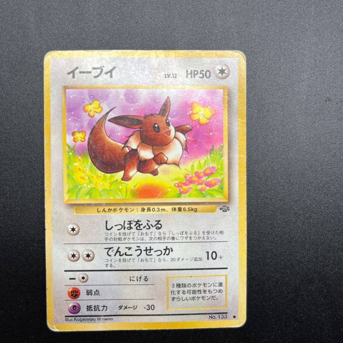 ポケモンカード イーブイ 旧裏ポケモンカード|Yahoo!フリマ(旧 ポケモンカード イーブイ 旧裏ポケモンカード|Yahoo!フリマ(旧