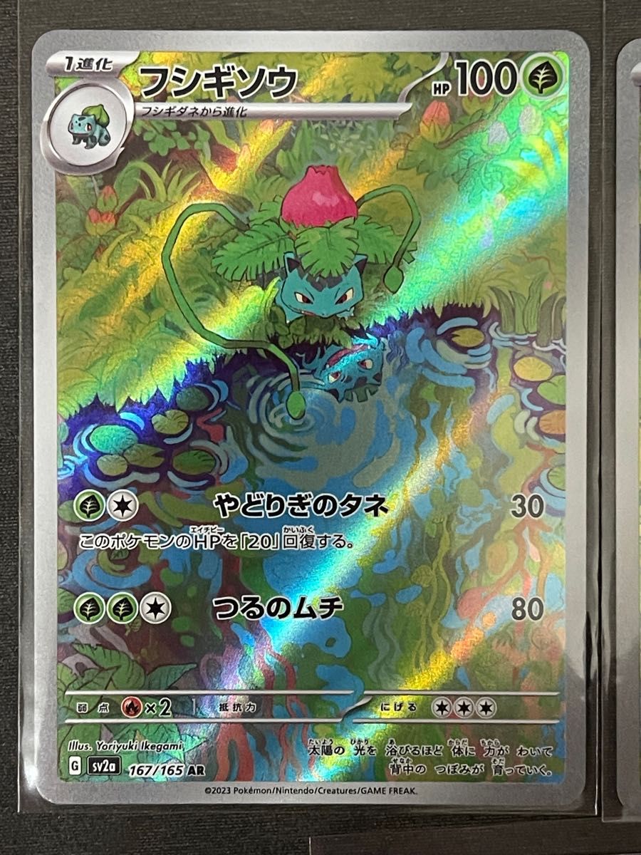 ポケモンカード 151 フシギバナ フシギソウ フシギダネ|Yahoo ポケモンカード 151 フシギバナ フシギソウ フシギダネ|Yahoo