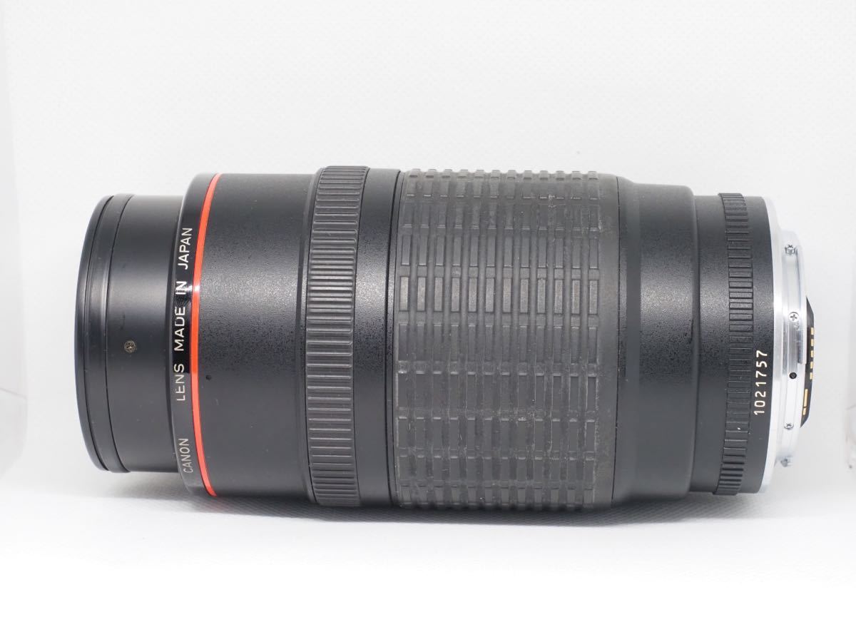 Canon EF 50-200mm F3.5-4.5 L 動作品 | cyclopsrecords.info