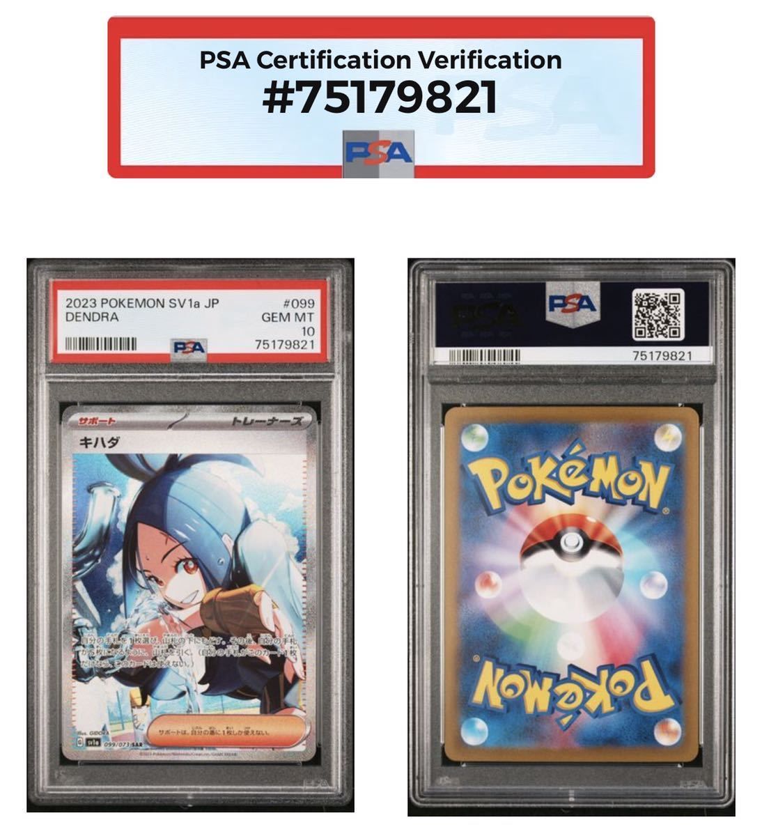 PSA10】キハダ SAR トリプレットビート【ポケカ】※PSAケースあり | top