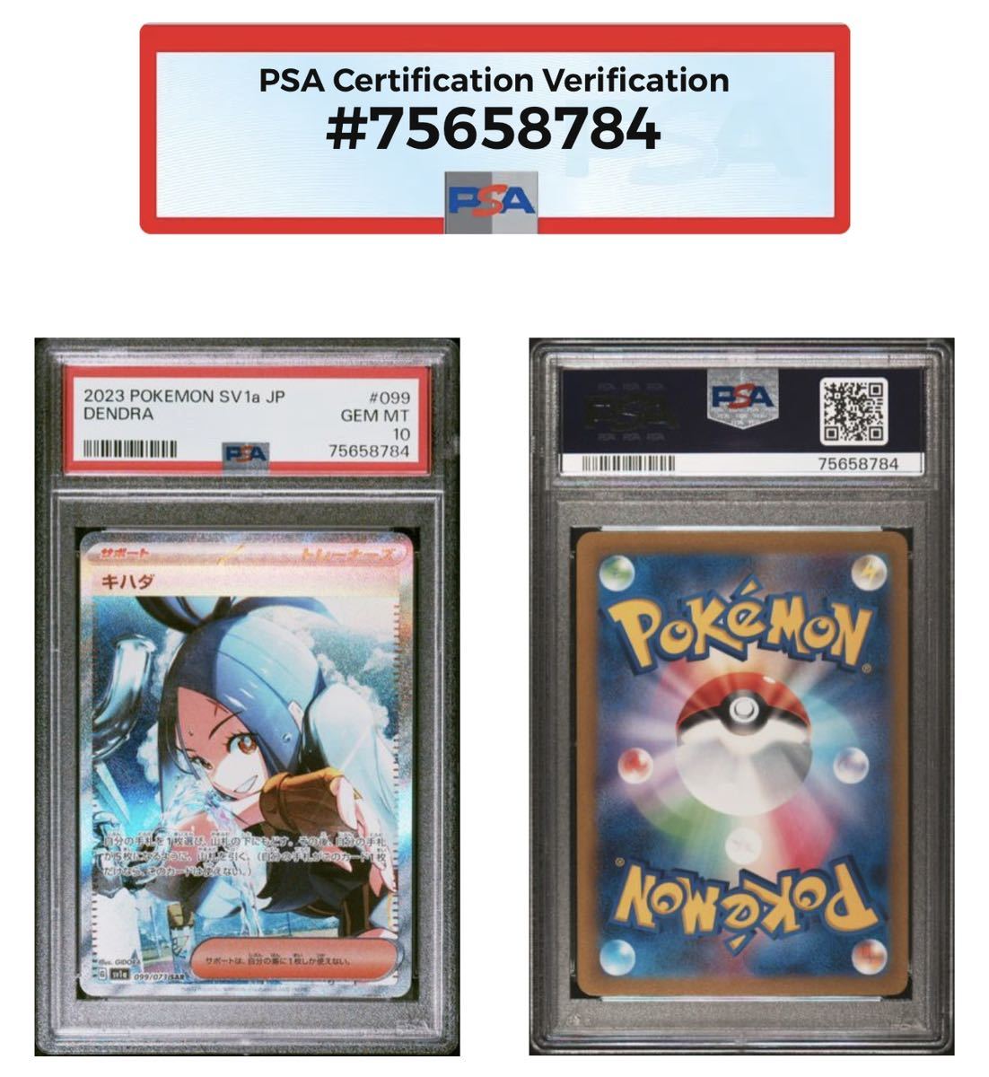 PSA10】キハダ SAR トリプレットビート【ポケカ】※PSAケースあり | top