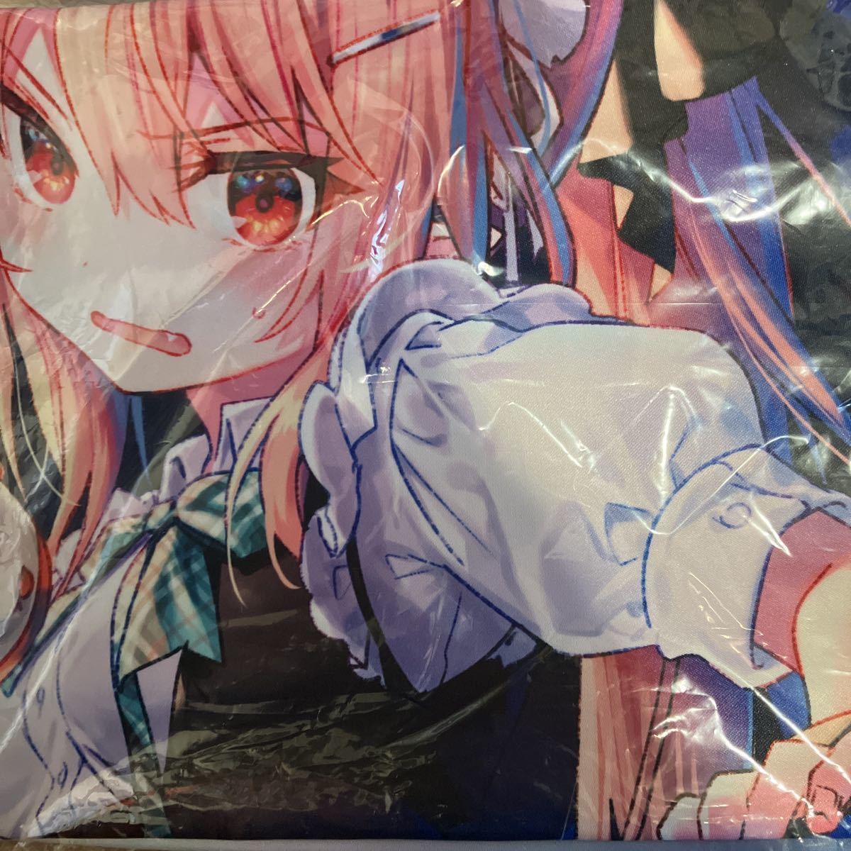 メロンブックス 特典】 ひきこまり吸血姫の悶々3 B2タペストリー
