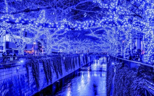 代購代標第一品牌 樂淘letao 目黒川のクリスマスライトアップ東京都