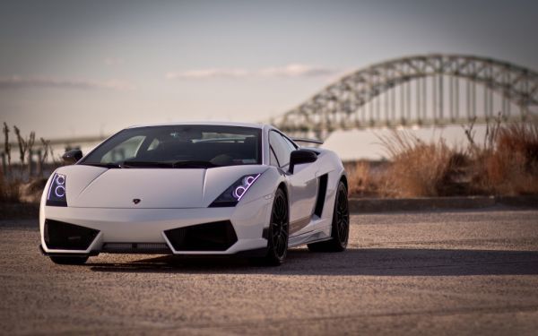  Lamborghini Gallardo LP570-4 white picture manner new material wallpaper poster wide version 603×376mm( is ... seal type )001W2