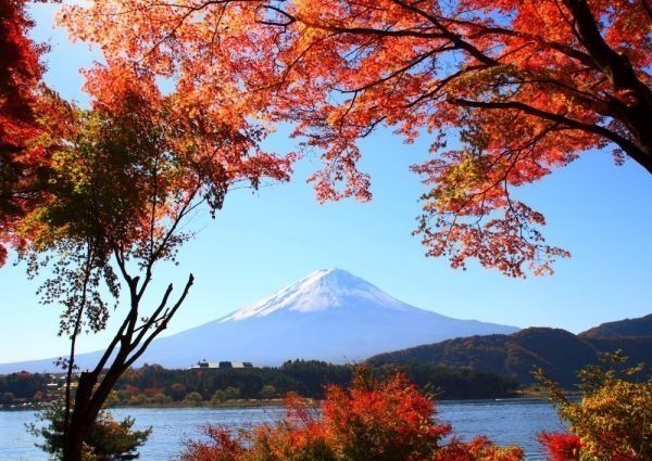 ヤフオク もみじ富士 紅葉と富士山 山中湖 秋景色 絵画風