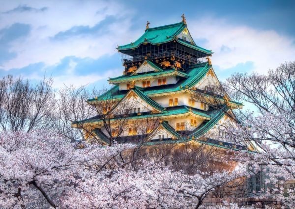  Osaka castle . Sakura Osaka castle . castle gold castle picture manner wallpaper poster extra-large A1 version 830×585mm( is ... seal type )003A1