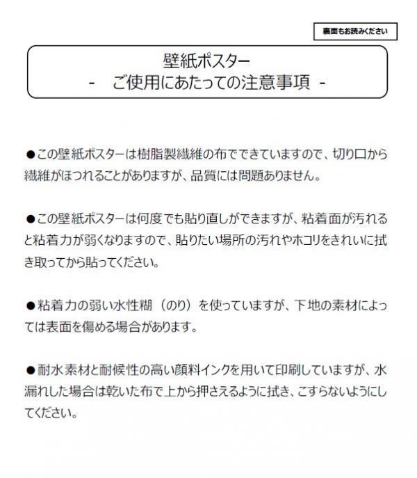 アルベルト・アインシュタイン 相対性理論 現代物理学の父 絵画風 壁紙ポスター A1版 585×830mm（はがせるシール式）001A1_画像9