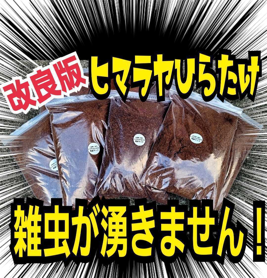 雑虫が湧かなく使いやすい【改良版】ヒマラヤひらたけ発酵カブトムシ
