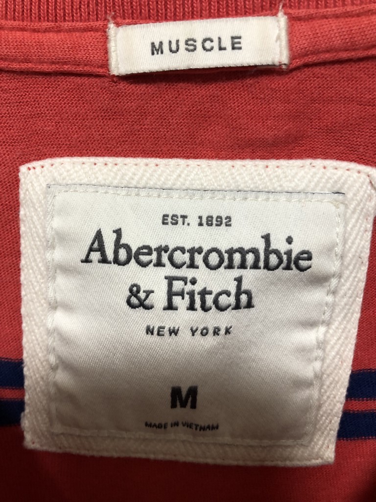 ◆Abercrombie&Fitch アバクロンビー&フィッチ 半袖Tシャツ M　Vネック　胸ロゴ_画像6