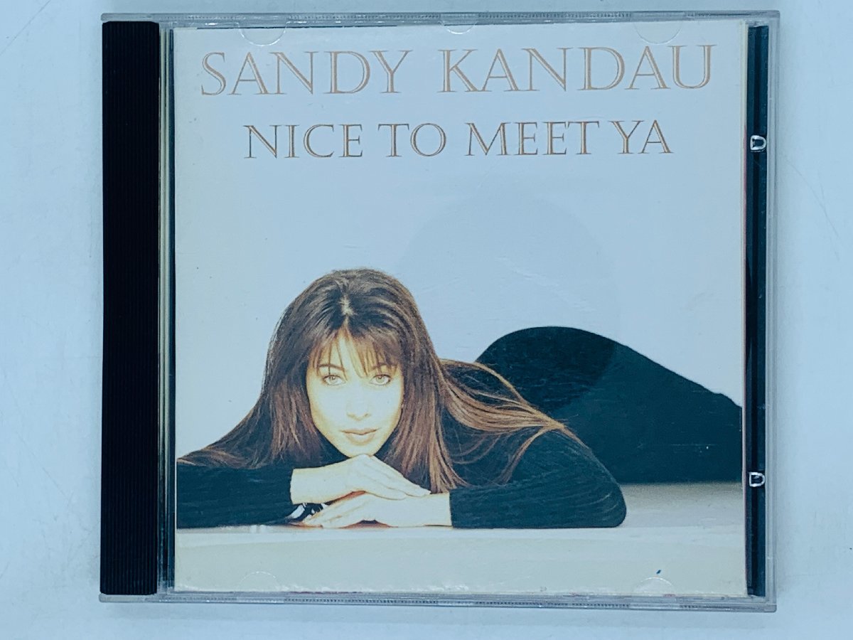 即決CD SANDY KANDAU / NICE TO MEET YA / サンディ・カンドゥ ナイス・トゥ・ミート・ヤ! / アルバム W03_画像1