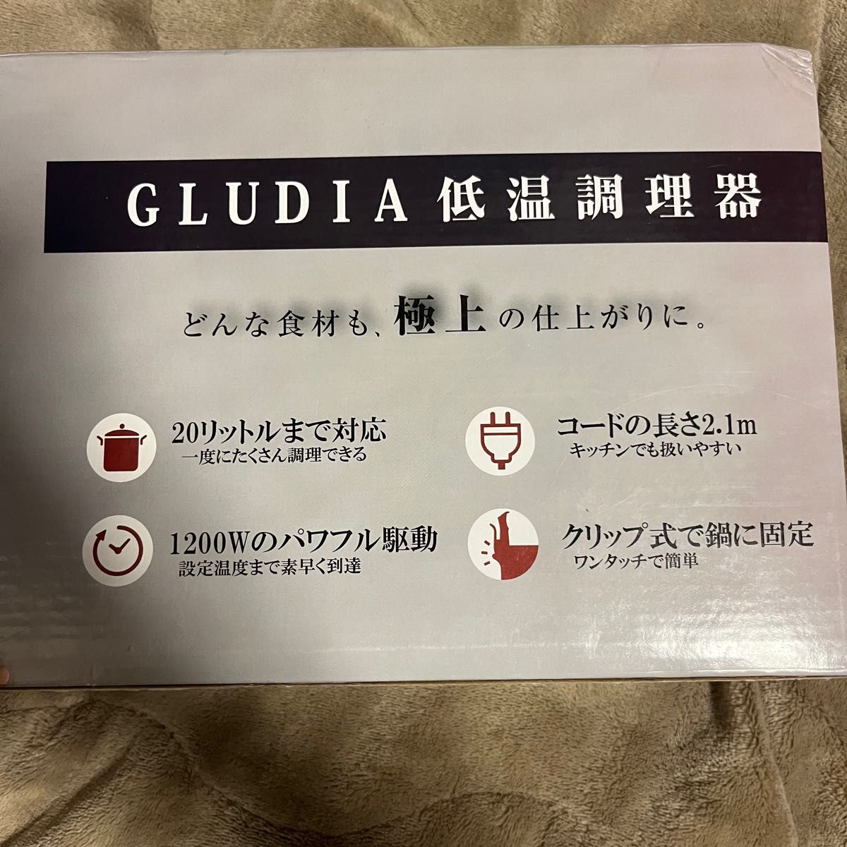 GLUDIA 低温調理器 ハイパワー1200W・大容量20L・強対流 グルーディア GLU-INM01