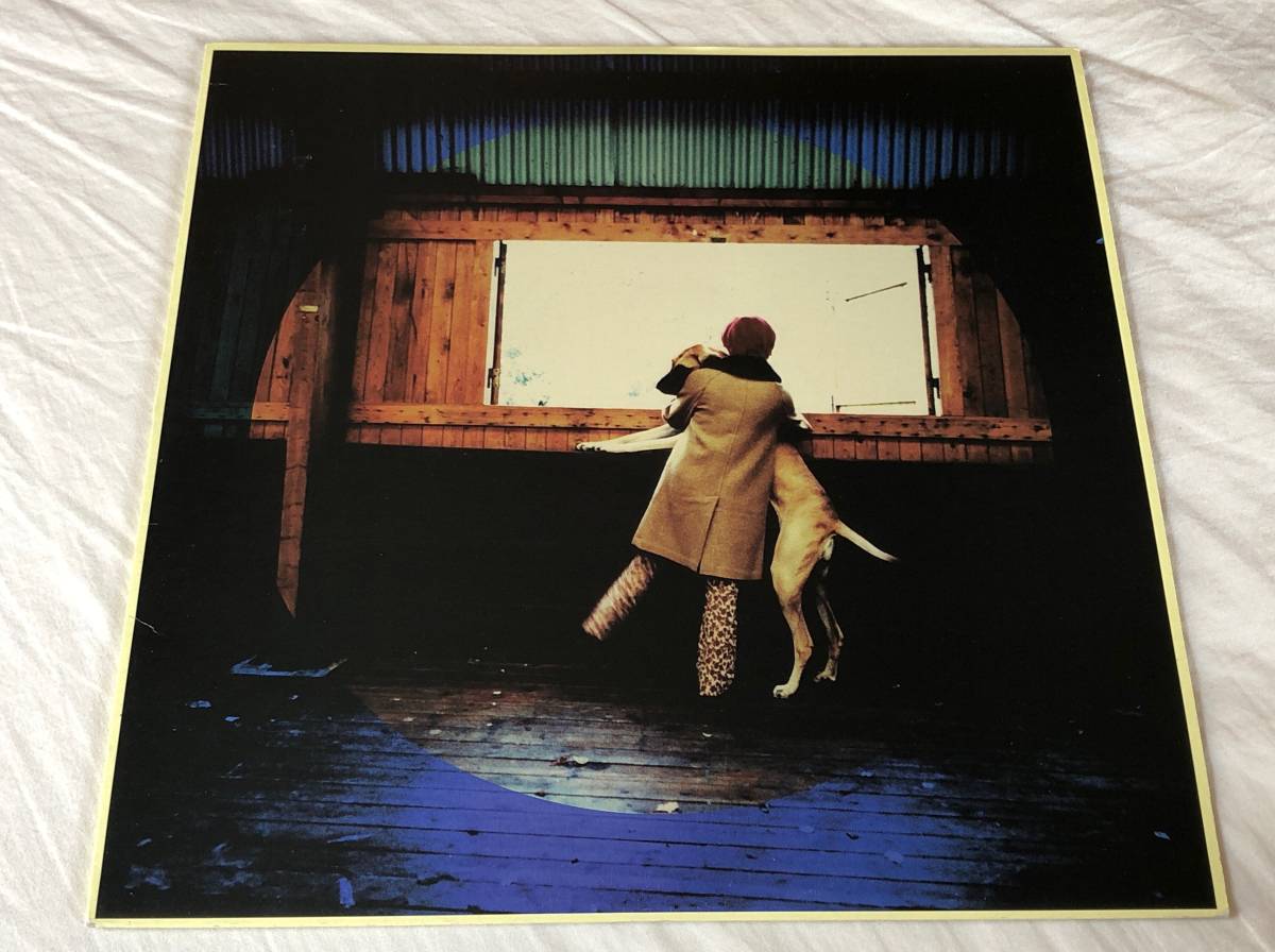 Bonnie Pink/犬と月 中古アナログレコード 12inch 12インチ 12" ボニー・ピンク カラー・ヴァイナル Color Vinyl PCJA-00035_画像1