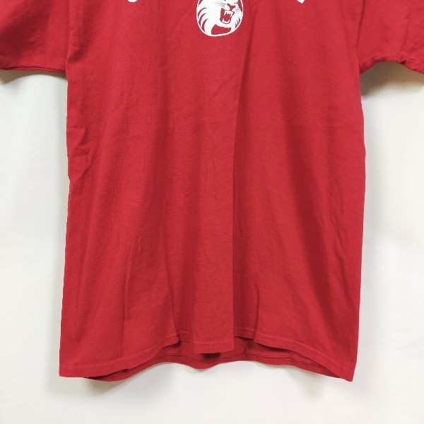 チャンピオン　半袖Ｔシャツ　カレッジロゴ　CHICO STATE　アニマル　デカロゴ　ゆるだぼ　赤ロゴＴ　ビッグプリント　一点もの　_画像5