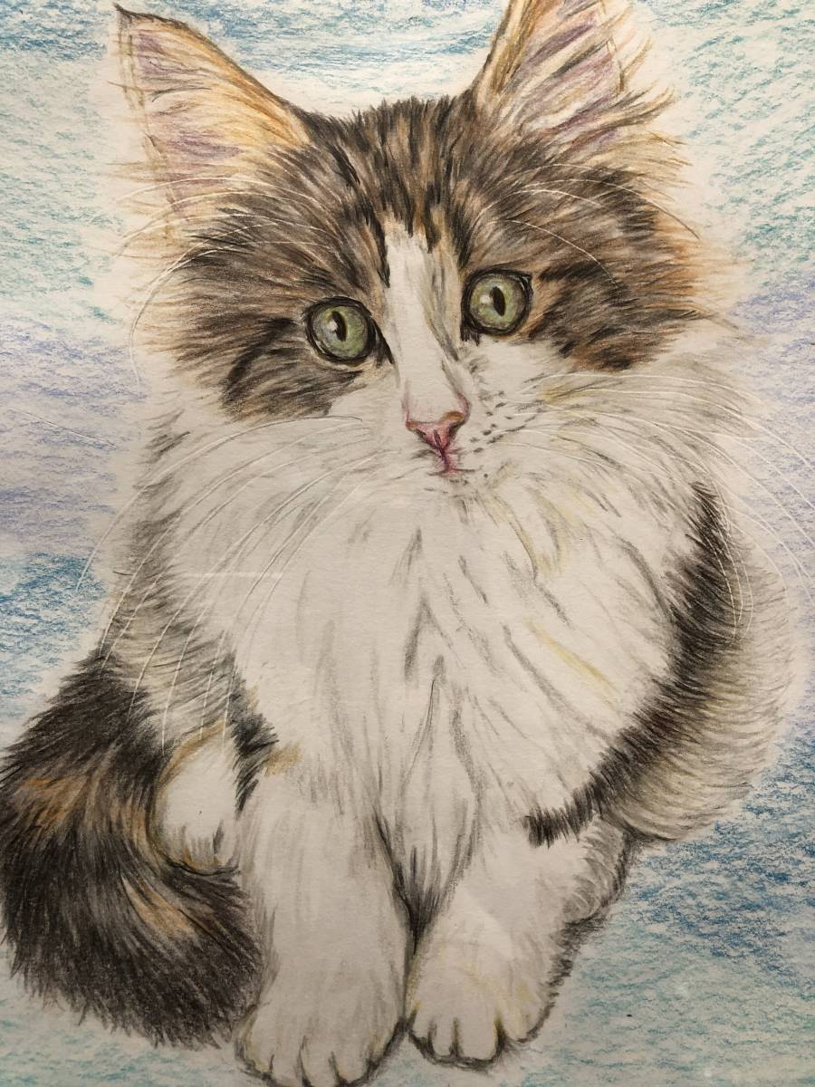 【手描きイラスト】ノルウェージャンフォレストキャット　子猫　猫　A4サイズ　画用紙_画像2