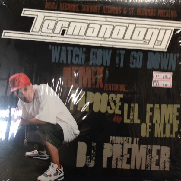 12inchレコード TERMANOLOGY / WATCH HOW IT GO DOWN REMIX (DJ PREMIER)_画像1